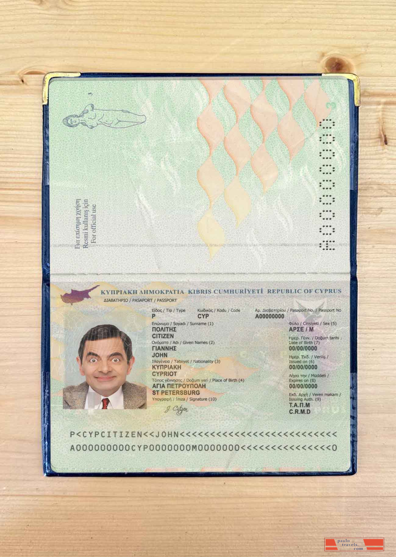 Cyprus passport photo look PSD template